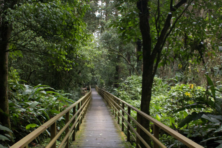 Parque Ambiental Municipal Río Loro