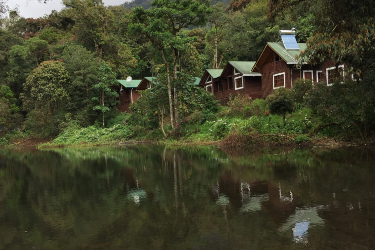 Sueños del Bosque Lodge